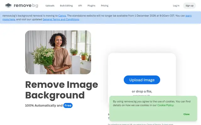 Screenshot of the remove.bg homepage